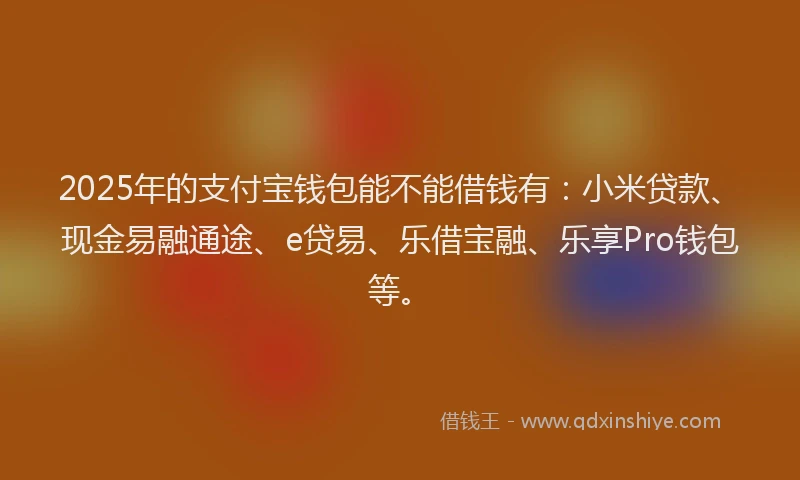 2025年的支付宝钱包能不能借钱有：小米贷款、现金易融通途、e贷易、乐借宝融、乐享Pro钱包等。