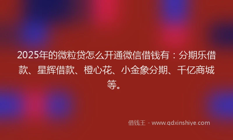 2025年的微粒贷怎么开通微信借钱有：分期乐借款、星辉借款、橙心花、小金象分期、千亿商城等。