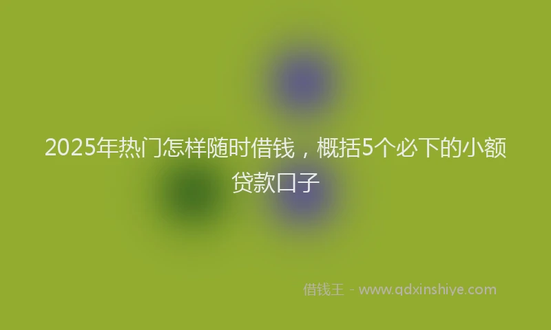 2025年热门怎样随时借钱，概括5个必下的小额贷款口子