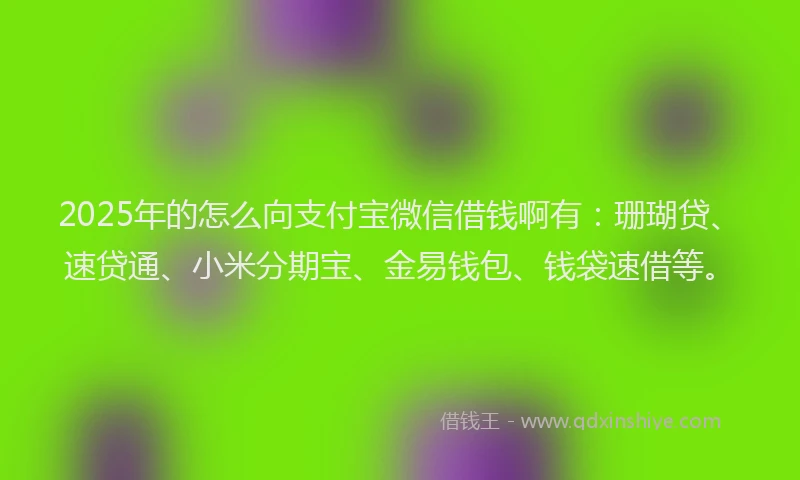 2025年的怎么向支付宝微信借钱啊有：珊瑚贷、速贷通、小米分期宝、金易钱包、钱袋速借等。