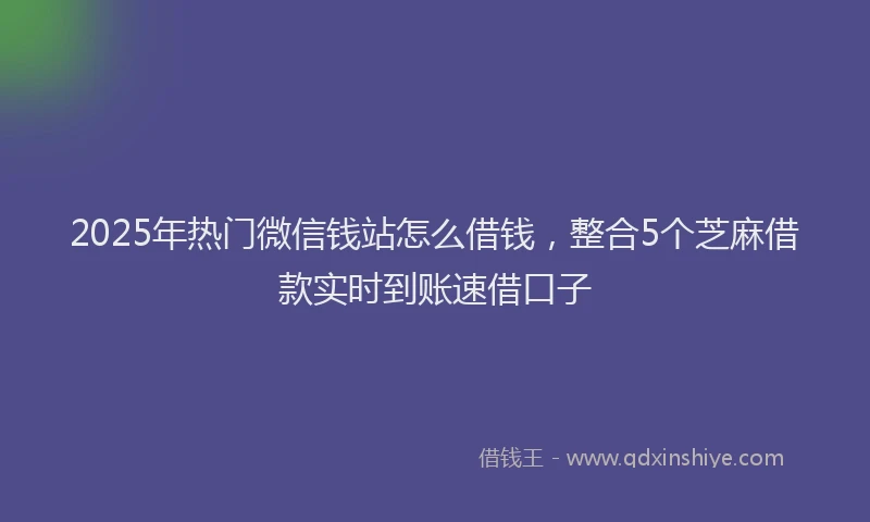 2025年热门微信钱站怎么借钱，整合5个芝麻借款实时到账速借口子