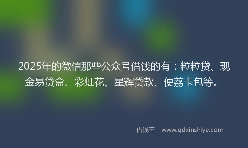 2025年的微信那些公众号借钱的有：粒粒贷、现金易贷盒、彩虹花、星辉贷款、便荔卡包等。