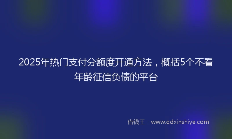 2025年热门支付分额度开通方法，概括5个不看年龄征信负债的平台