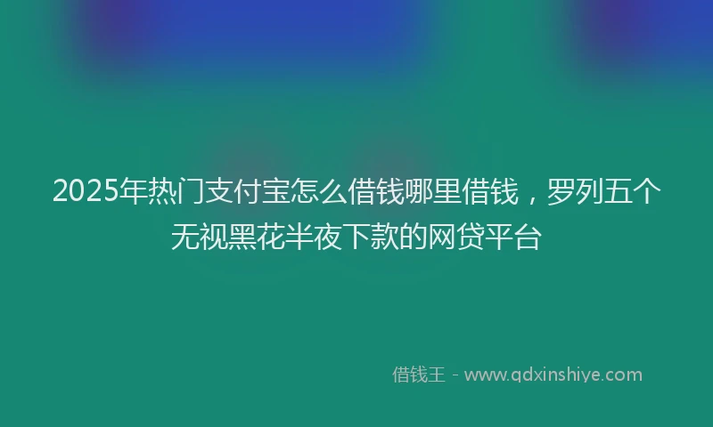 2025年热门支付宝怎么借钱哪里借钱，罗列五个无视黑花半夜下款的网贷平台