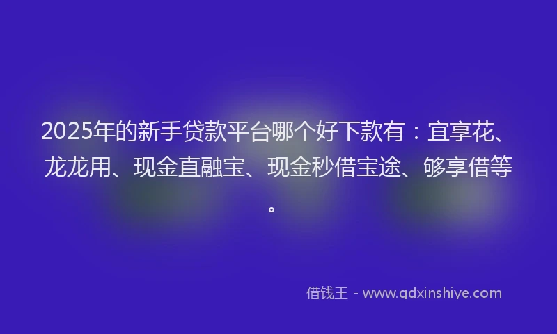 2025年的新手贷款平台哪个好下款有：宜享花、龙龙用、现金直融宝、现金秒借宝途、够享借等。