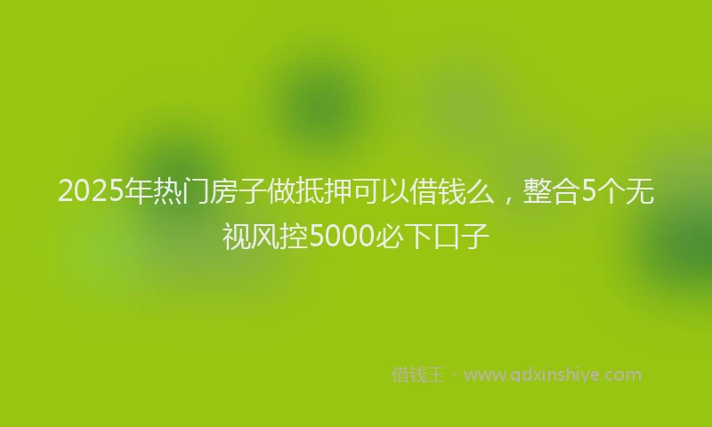 2025年热门房子做抵押可以借钱么，整合5个无视风控5000必下口子