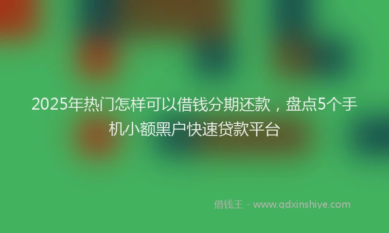 2025年热门怎样可以借钱分期还款，盘点5个手机小额黑户快速贷款平台
