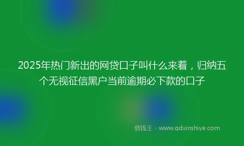 2025年热门新出的网贷口子叫什么来着，归纳五个无视征信黑户当前逾期必下款的口子