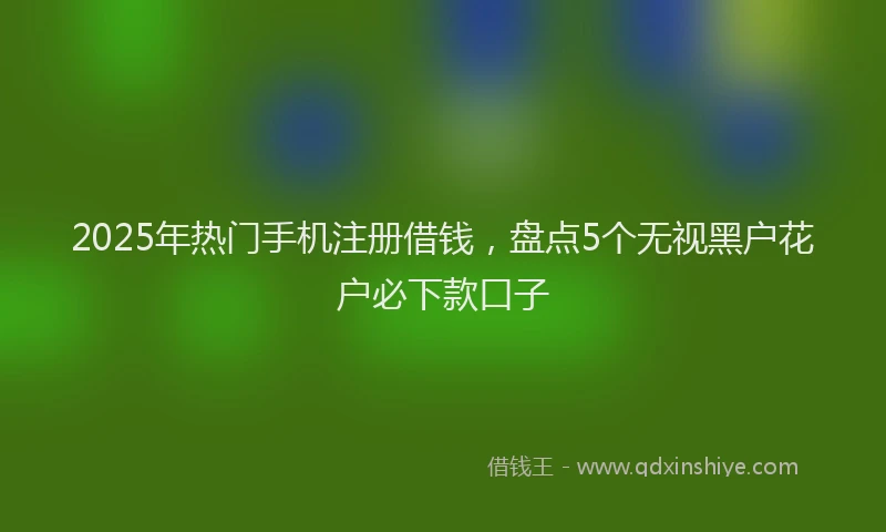 2025年热门手机注册借钱，盘点5个无视黑户花户必下款口子