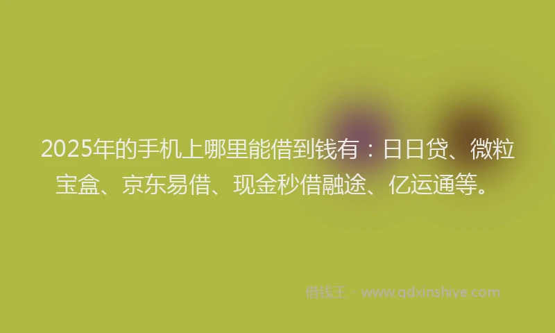 2025年的手机上哪里能借到钱有：日日贷、微粒宝盒、京东易借、现金秒借融途、亿运通等。
