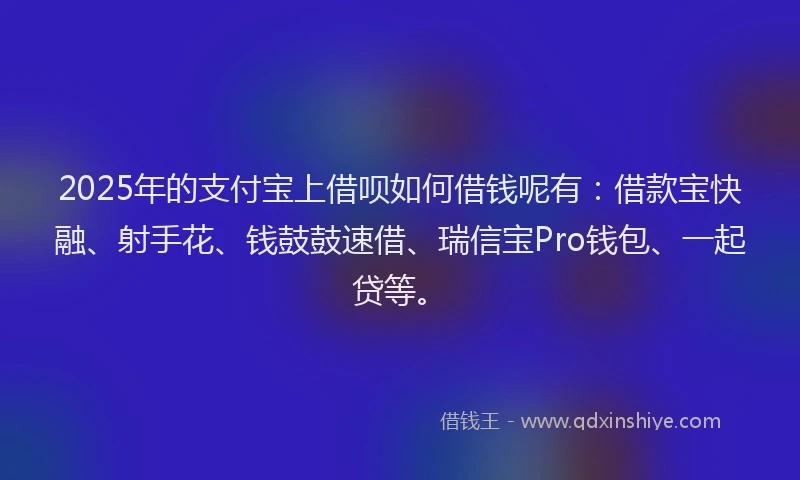 2025年的支付宝上借呗如何借钱呢有：借款宝快融、射手花、钱鼓鼓速借、瑞信宝Pro钱包、一起贷等。