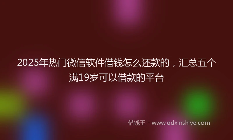2025年热门微信软件借钱怎么还款的，汇总五个满19岁可以借款的平台