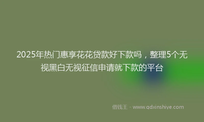2025年热门惠享花花贷款好下款吗，整理5个无视黑白无视征信申请就下款的平台
