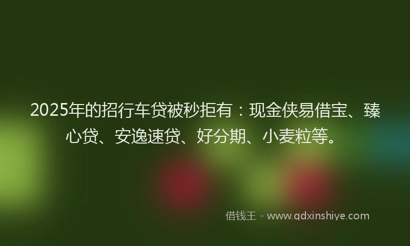2025年的招行车贷被秒拒有：现金侠易借宝、臻心贷、安逸速贷、好分期、小麦粒等。