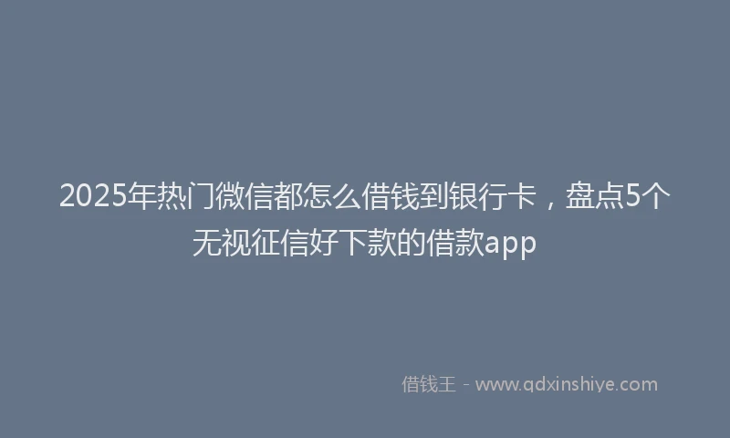 2025年热门微信都怎么借钱到银行卡，盘点5个无视征信好下款的借款app