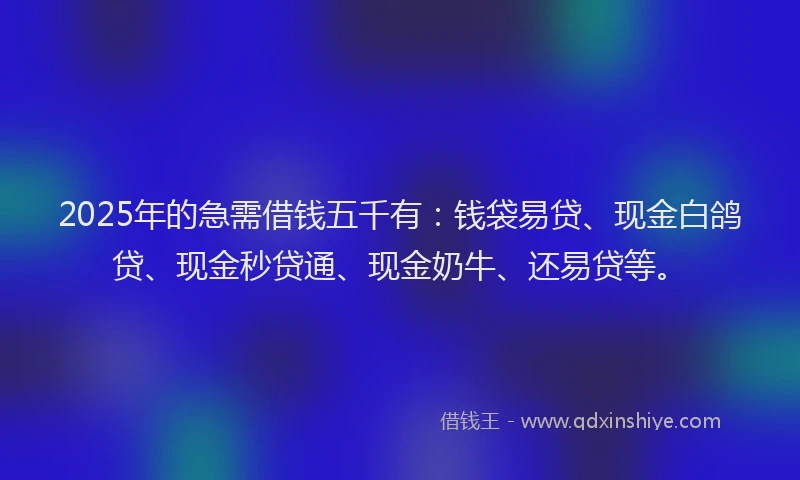 2025年的急需借钱五千有：钱袋易贷、现金白鸽贷、现金秒贷通、现金奶牛、还易贷等。