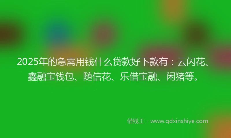2025年的急需用钱什么贷款好下款有：云闪花、鑫融宝钱包、随信花、乐借宝融、闲猪等。