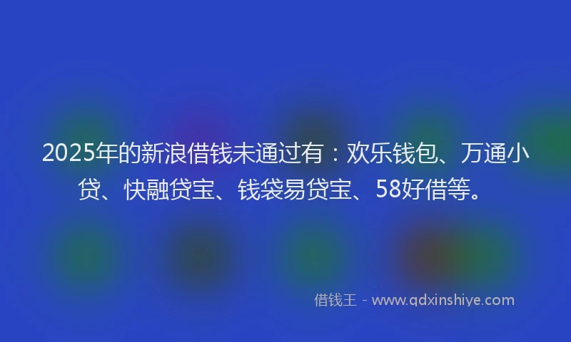 2025年的新浪借钱未通过有：欢乐钱包、万通小贷、快融贷宝、钱袋易贷宝、58好借等。
