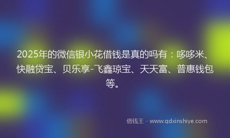 2025年的微信银小花借钱是真的吗有：哆哆米、快融贷宝、贝乐享-飞鑫琼宝、天天富、普惠钱包等。