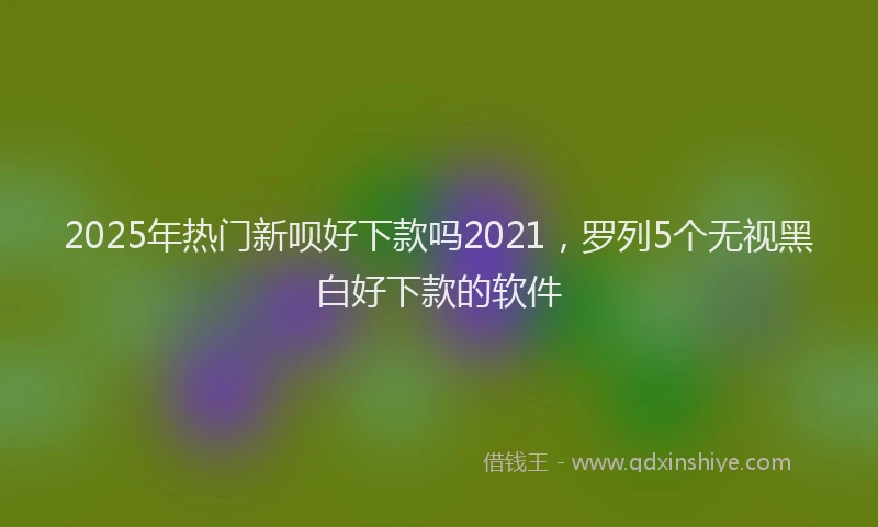 2025年热门新呗好下款吗2021，罗列5个无视黑白好下款的软件