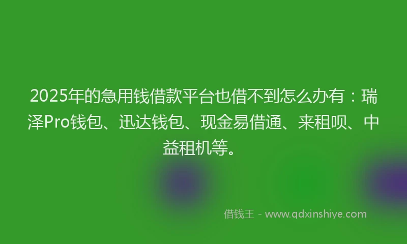 2025年的急用钱借款平台也借不到怎么办有：瑞泽Pro钱包、迅达钱包、现金易借通、来租呗、中益租机等。