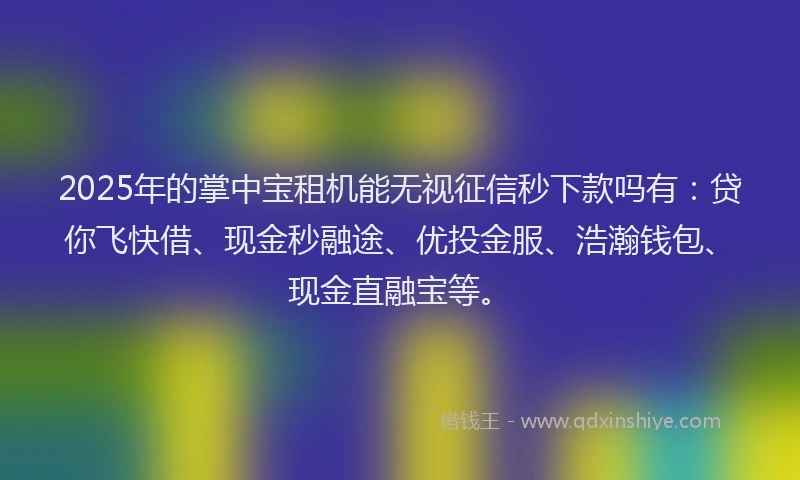 2025年的掌中宝租机能无视征信秒下款吗有：贷你飞快借、现金秒融途、优投金服、浩瀚钱包、现金直融宝等。