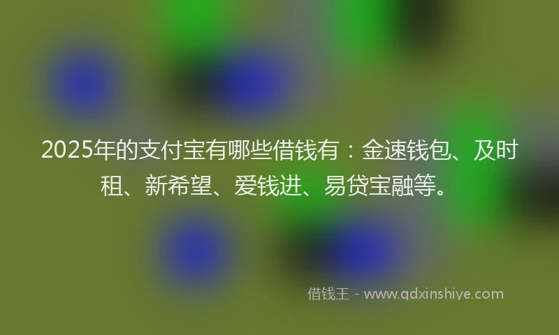2025年的支付宝有哪些借钱有：金速钱包、及时租、新希望、爱钱进、易贷宝融等。