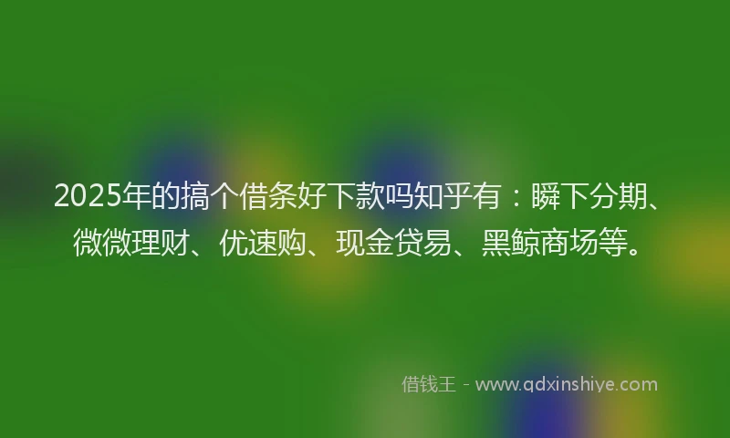 2025年的搞个借条好下款吗知乎有：瞬下分期、微微理财、优速购、现金贷易、黑鲸商场等。