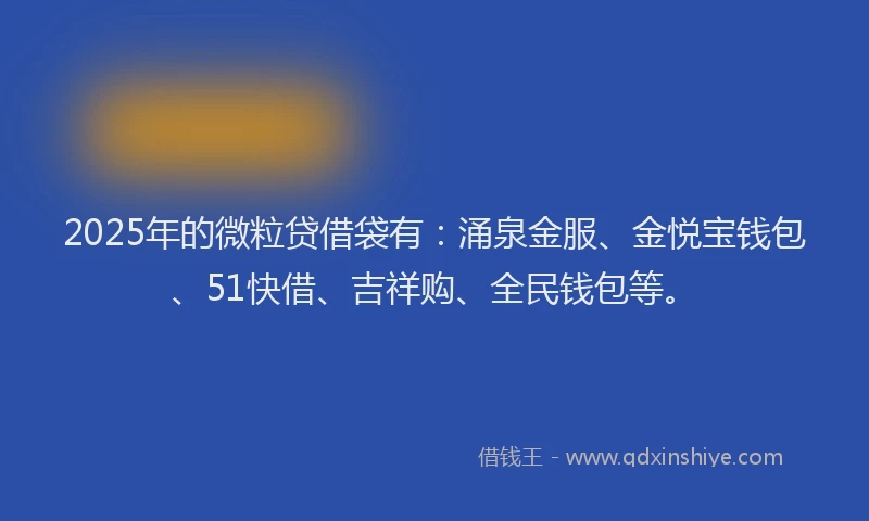 2025年的微粒贷借袋有：涌泉金服、金悦宝钱包、51快借、吉祥购、全民钱包等。