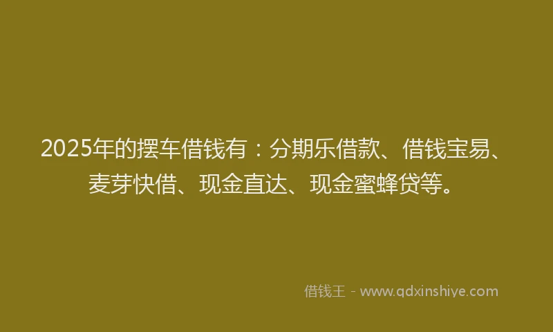 2025年的摆车借钱有：分期乐借款、借钱宝易、麦芽快借、现金直达、现金蜜蜂贷等。