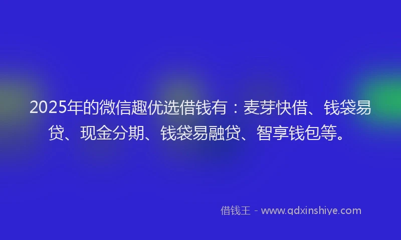 2025年的微信趣优选借钱有：麦芽快借、钱袋易贷、现金分期、钱袋易融贷、智享钱包等。