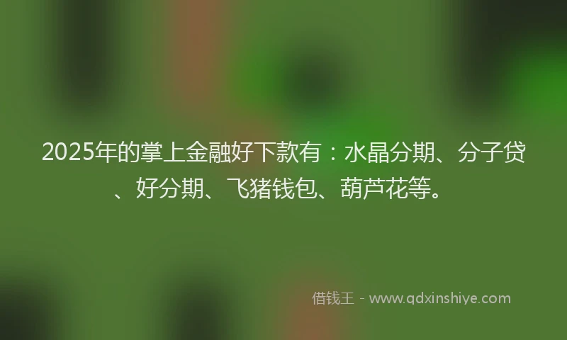 2025年的掌上金融好下款有：水晶分期、分子贷、好分期、飞猪钱包、葫芦花等。