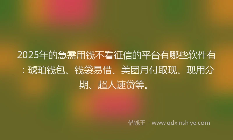 2025年的急需用钱不看征信的平台有哪些软件有：琥珀钱包、钱袋易借、美团月付取现、现用分期、超人速贷等。