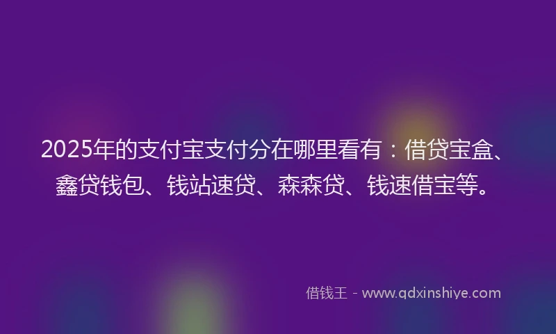 2025年的支付宝支付分在哪里看有：借贷宝盒、鑫贷钱包、钱站速贷、森森贷、钱速借宝等。