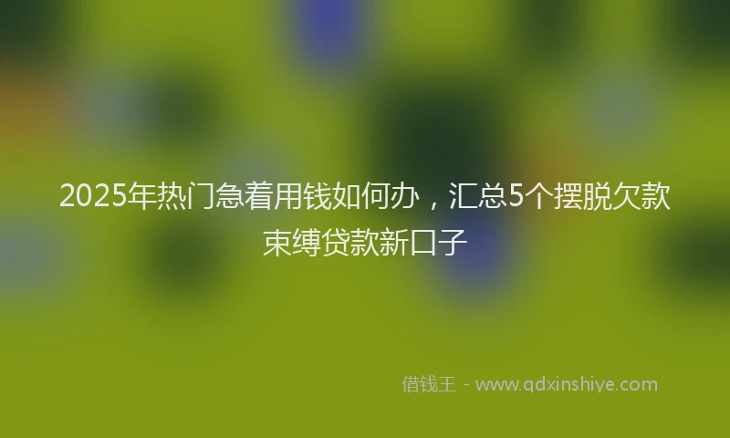 2025年热门急着用钱如何办，汇总5个摆脱欠款束缚贷款新口子