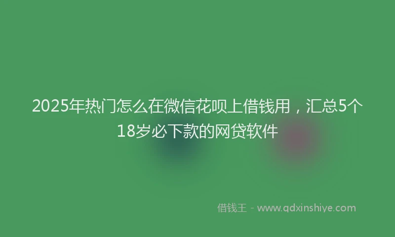 2025年热门怎么在微信花呗上借钱用，汇总5个18岁必下款的网贷软件