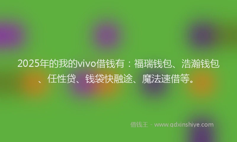 2025年的我的vivo借钱有：福瑞钱包、浩瀚钱包、任性贷、钱袋快融途、魔法速借等。
