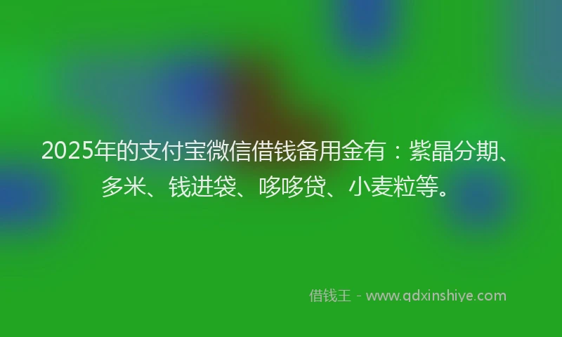 2025年的支付宝微信借钱备用金有：紫晶分期、多米、钱进袋、哆哆贷、小麦粒等。