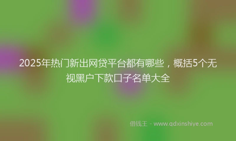 2025年热门新出网贷平台都有哪些，概括5个无视黑户下款口子名单大全