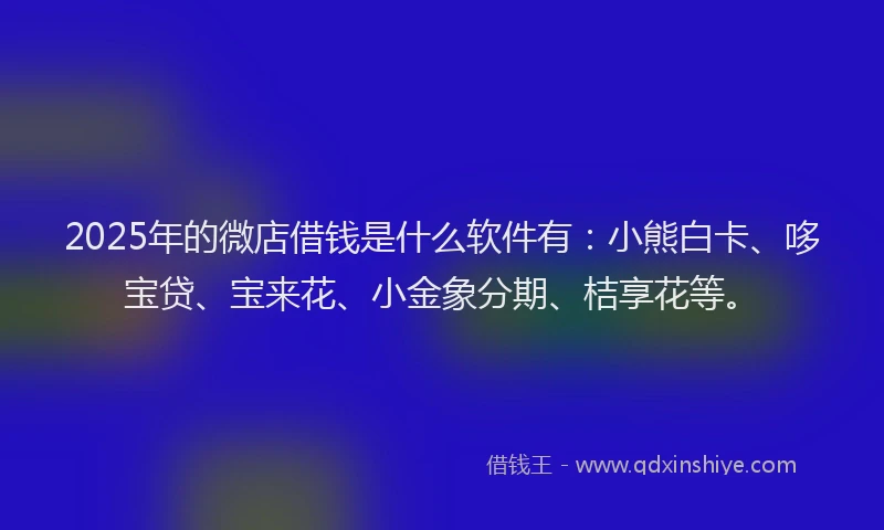 2025年的微店借钱是什么软件有：小熊白卡、哆宝贷、宝来花、小金象分期、桔享花等。