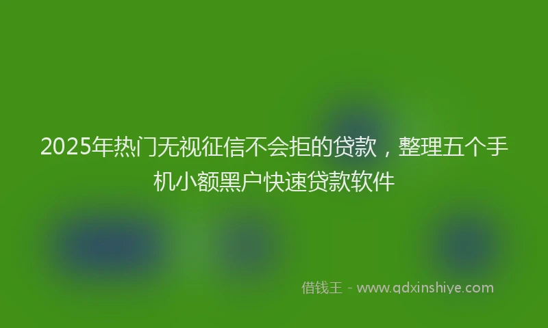 2025年热门无视征信不会拒的贷款，整理五个手机小额黑户快速贷款软件