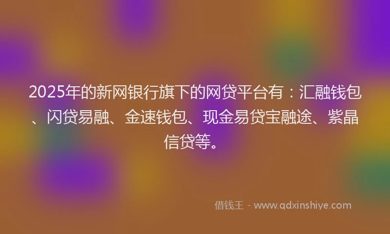 2025年的新网银行旗下的网贷平台有：汇融钱包、闪贷易融、金速钱包、现金易贷宝融途、紫晶信贷等。