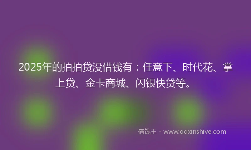 2025年的拍拍贷没借钱有：任意下、时代花、掌上贷、金卡商城、闪银快贷等。
