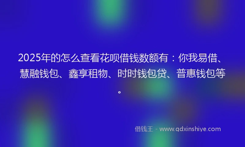 2025年的怎么查看花呗借钱数额有：你我易借、慧融钱包、鑫享租物、时时钱包贷、普惠钱包等。