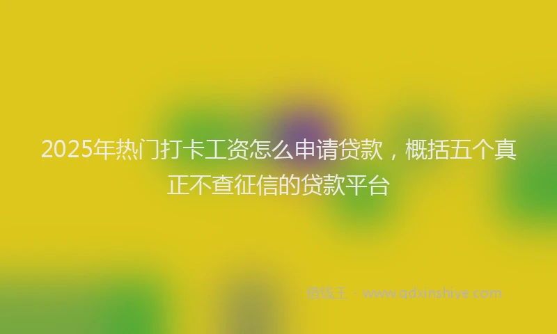 2025年热门打卡工资怎么申请贷款，概括五个真正不查征信的贷款平台