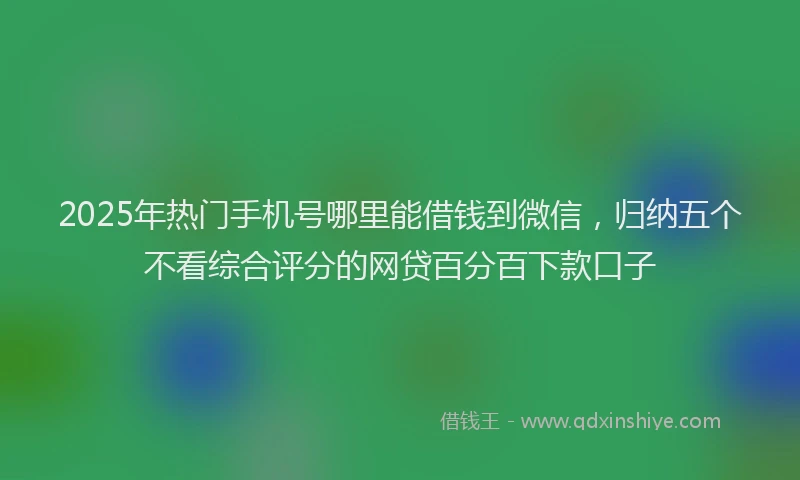 2025年热门手机号哪里能借钱到微信，归纳五个不看综合评分的网贷百分百下款口子