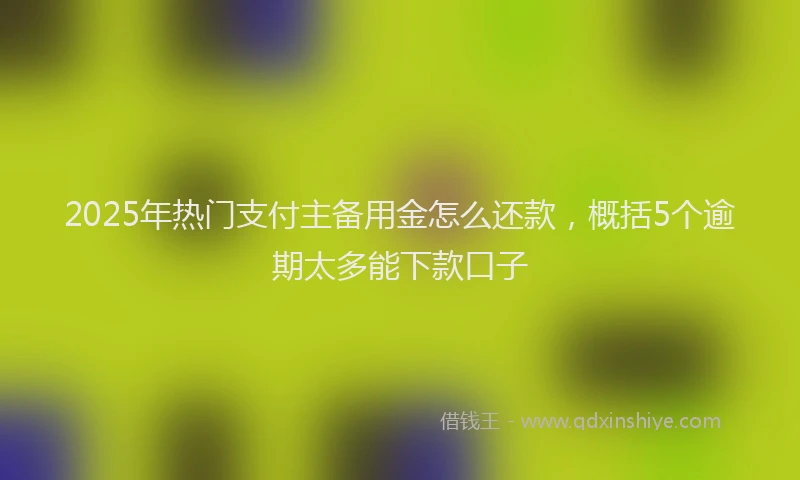 2025年热门支付主备用金怎么还款，概括5个逾期太多能下款口子
