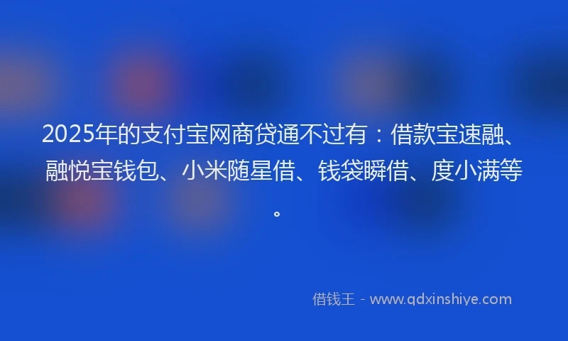 2025年的支付宝网商贷通不过有：借款宝速融、融悦宝钱包、小米随星借、钱袋瞬借、度小满等。