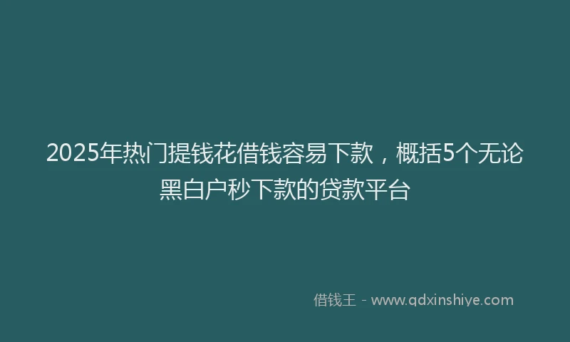 2025年热门提钱花借钱容易下款，概括5个无论黑白户秒下款的贷款平台