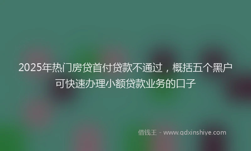 2025年热门房贷首付贷款不通过，概括五个黑户可快速办理小额贷款业务的口子